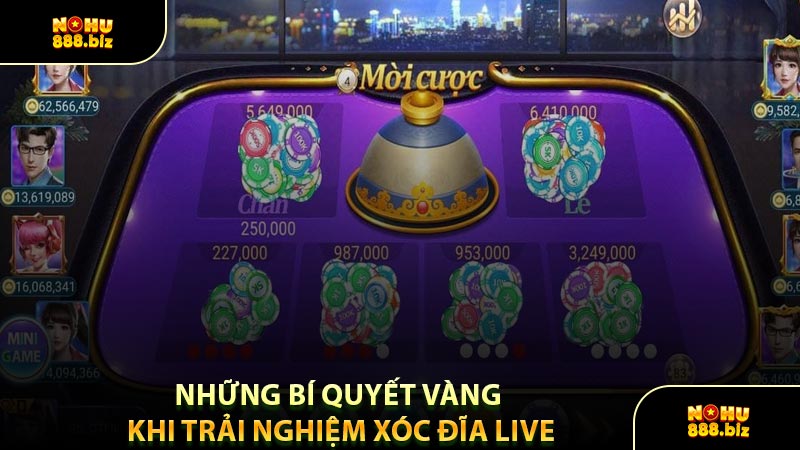 Những Bí Quyết Vàng Khi Trải Nghiệm Xóc Đĩa Live
