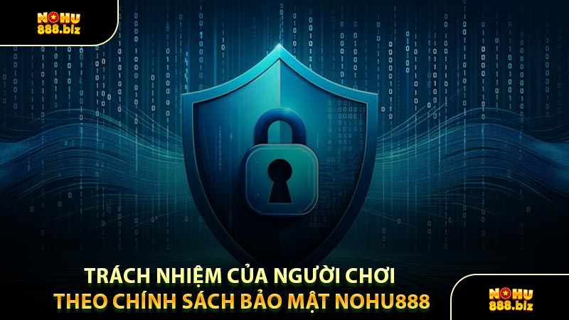 Trách Nhiệm Của Người Chơi Theo Chính Sách Bảo Mật NOHU888